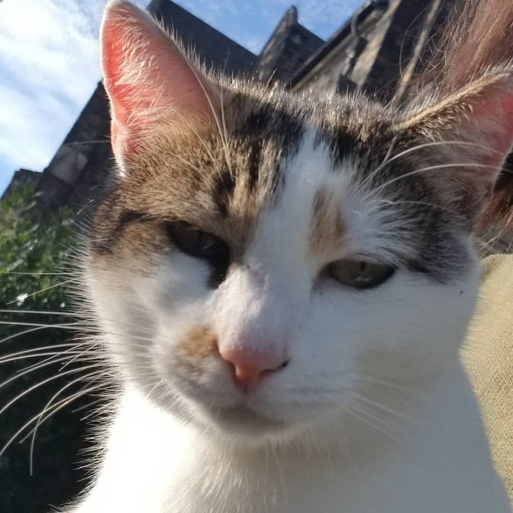 Meet your Posher, Vivian